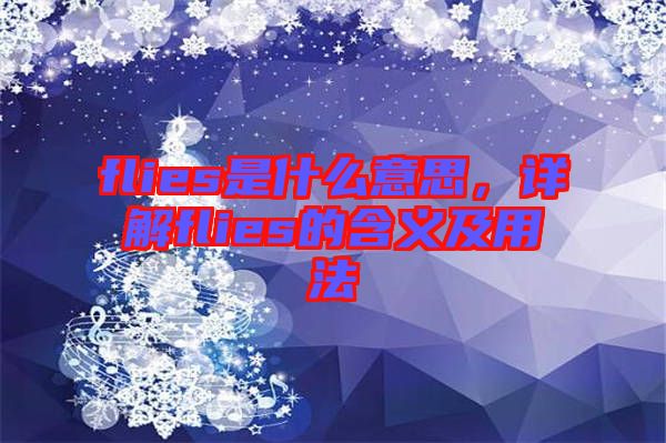 flies是什么意思，詳解flies的含義及用法