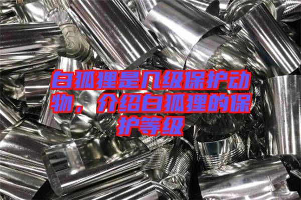 白狐貍是幾級保護(hù)動物，介紹白狐貍的保護(hù)等級
