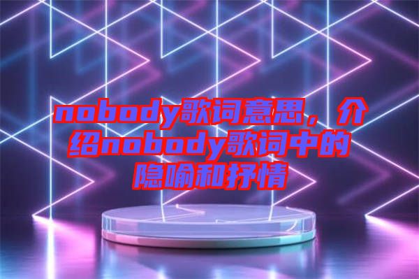 nobody歌詞意思，介紹nobody歌詞中的隱喻和抒情