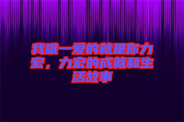 我唯一愛(ài)的就是你力宏，力宏的成就和生活故事
