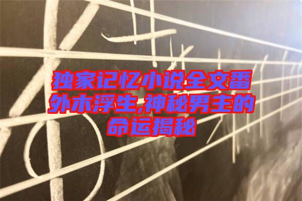 獨家記憶小說全文番外木浮生,神秘男主的命運(yùn)揭秘