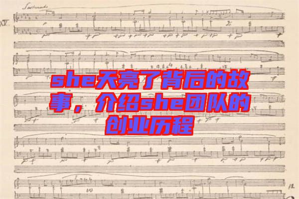 she天亮了背后的故事，介紹she團(tuán)隊的創(chuàng)業(yè)歷程