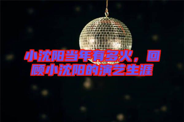 小沈陽當年有多火，回顧小沈陽的演藝生涯