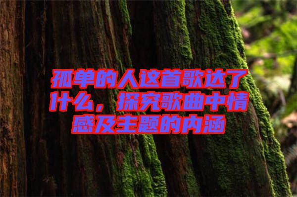 孤單的人這首歌達了什么，探究歌曲中情感及主題的內(nèi)涵