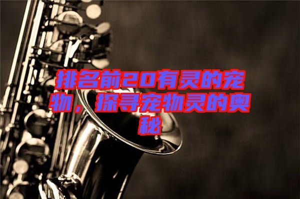 排名前20有靈的寵物，探尋寵物靈的奧秘