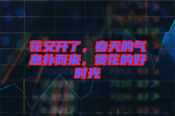 花又開了，春天的氣息撲而來，賞花的好時(shí)光