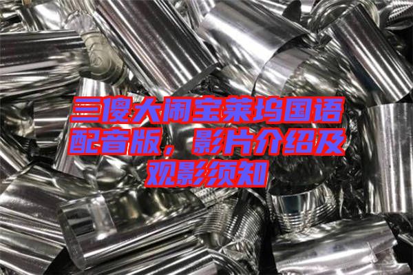 三傻大鬧寶萊塢國(guó)語(yǔ)配音版，影片介紹及觀影須知