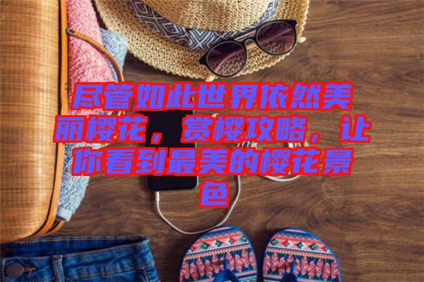 盡管如此世界依然美麗櫻花，賞櫻攻略，讓你看到最美的櫻花景色