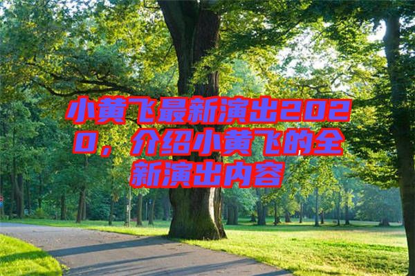 小黃飛最新演出2020，介紹小黃飛的全新演出內容