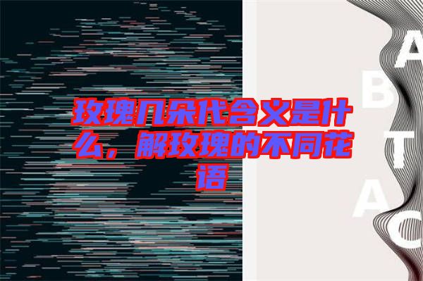 玫瑰幾朵代含義是什么，解玫瑰的不同花語