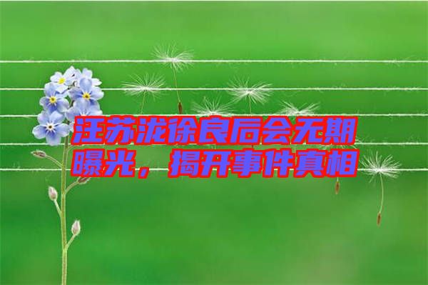 汪蘇瀧徐良后會(huì)無期曝光，揭開事件真相