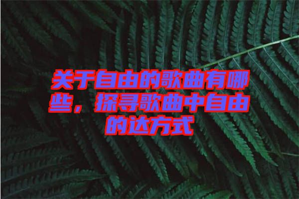 關(guān)于自由的歌曲有哪些，探尋歌曲中自由的達(dá)方式