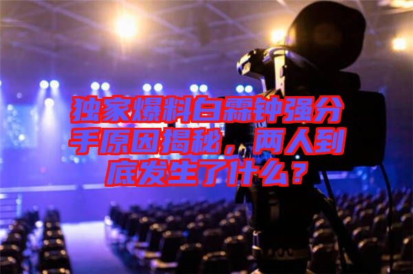 獨家爆料白霖鐘強分手原因揭秘，兩人到底發(fā)生了什么？