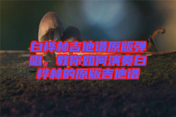 白樺林吉他譜原版彈唱，教你如何演奏白樺林的原版吉他譜