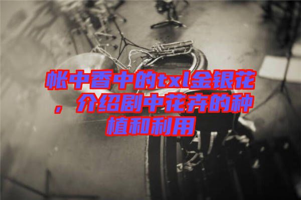 帳中香中的txl金銀花，介紹劇中花卉的種植和利用