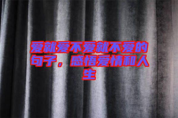 愛(ài)就愛(ài)不愛(ài)就不愛(ài)的句子，感悟愛(ài)情和人生