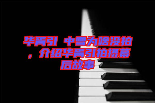 華胥引柸中雪為啥沒拍，介紹華胥引拍攝幕后故事