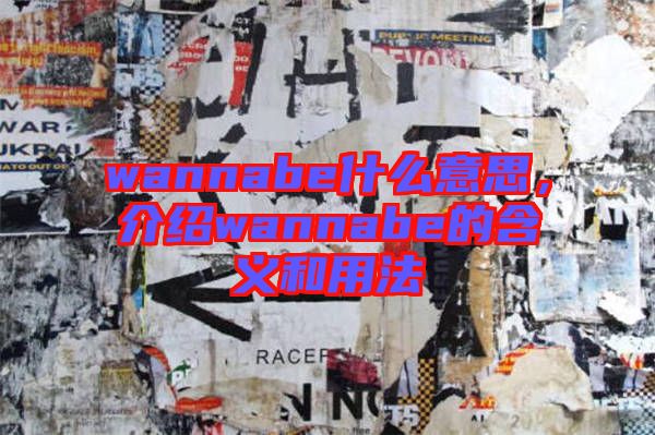wannabe什么意思，介紹wannabe的含義和用法