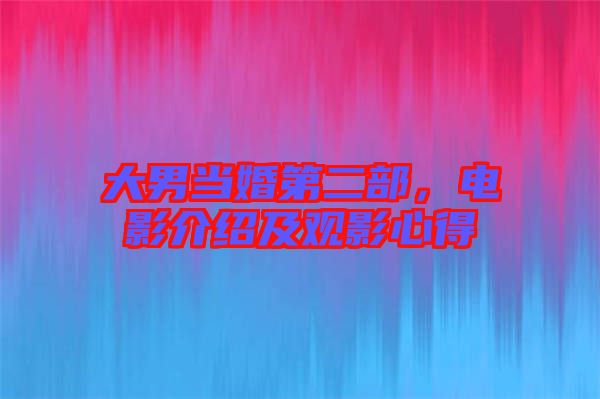 大男當(dāng)婚第二部，電影介紹及觀影心得