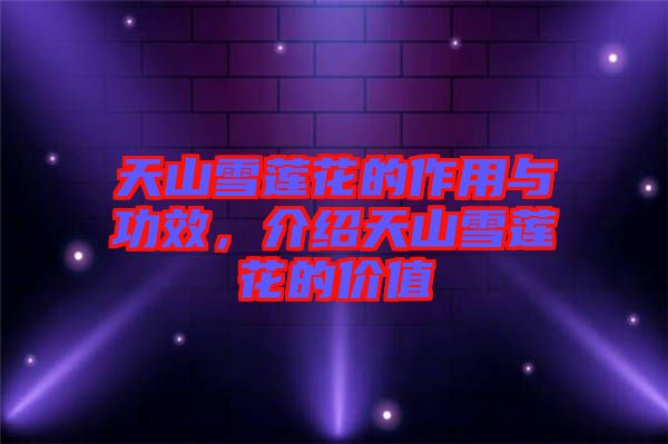 天山雪蓮花的作用與功效，介紹天山雪蓮花的價(jià)值