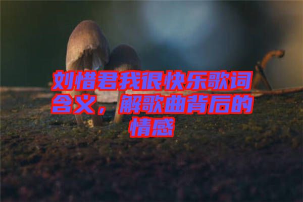 劉惜君我很快樂歌詞含義，解歌曲背后的情感