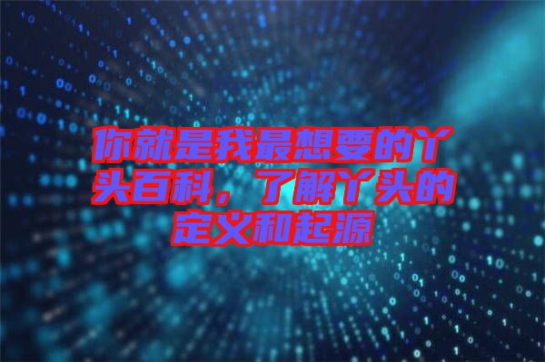 你就是我最想要的丫頭百科，了解丫頭的定義和起源