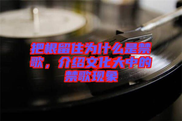把根留住為什么是禁歌，介紹文化大中的禁歌現(xiàn)象
