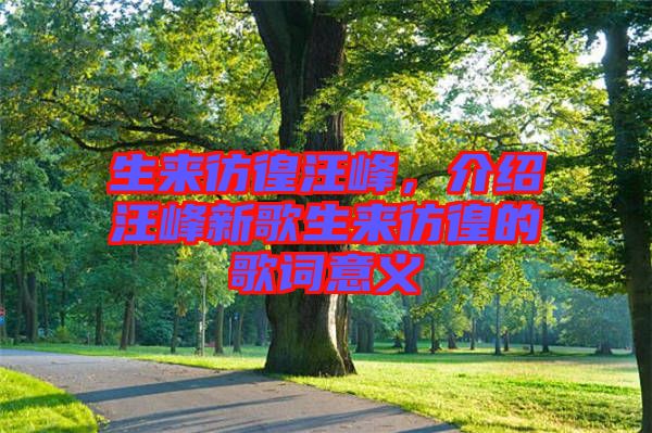 生來彷徨汪峰，介紹汪峰新歌生來彷徨的歌詞意義