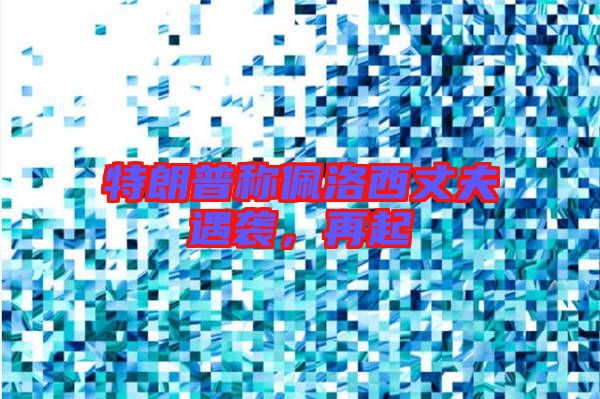 特朗普稱佩洛西丈夫遇襲，再起