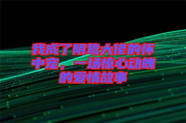 我成了陰鷙大佬的懷中寵，一場驚心動(dòng)魄的愛情故事