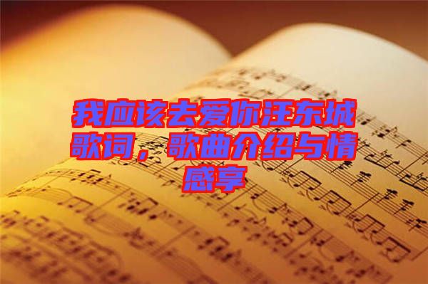 我應(yīng)該去愛你汪東城歌詞，歌曲介紹與情感享