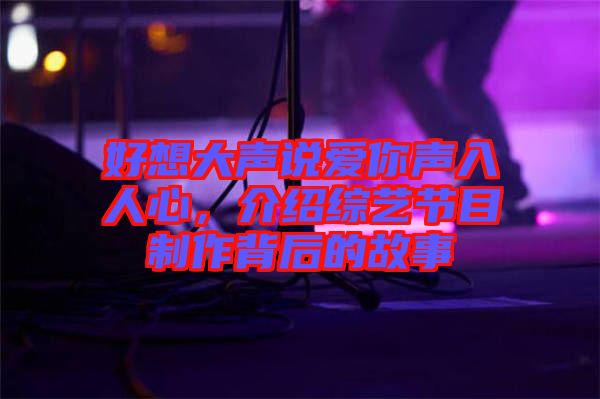 好想大聲說愛你聲入人心，介紹綜藝節(jié)目制作背后的故事