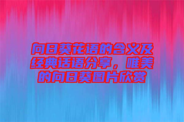 向日葵花語的含義及經典話語分享，唯美的向日葵圖片欣賞