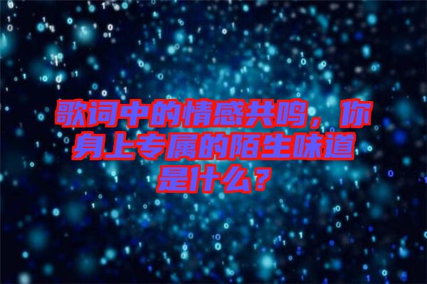 歌詞中的情感共鳴，你身上專屬的陌生味道是什么？