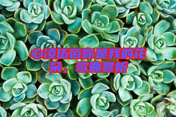 心凌伍佰你是我的花朵，歌曲賞析