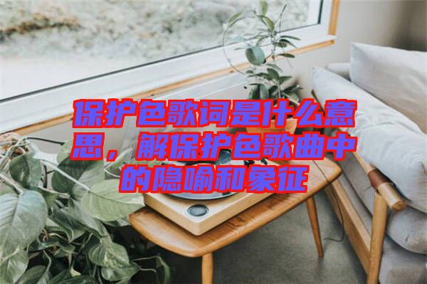 保護(hù)色歌詞是什么意思，解保護(hù)色歌曲中的隱喻和象征