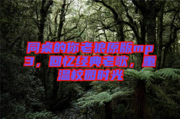 同桌的你老狼原版mp3，回憶經(jīng)典老歌，重溫校園時光