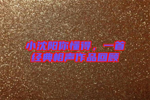 小沈陽你懂得，一首經(jīng)典相聲作品回顧