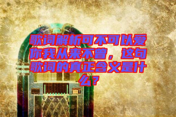 歌詞解析可不可以愛(ài)你我從來(lái)不曾，這句歌詞的真正含義是什么？