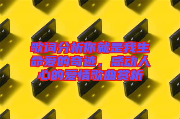 歌詞分析你就是我生命愛的奇跡，感動(dòng)人心的愛情歌曲賞析