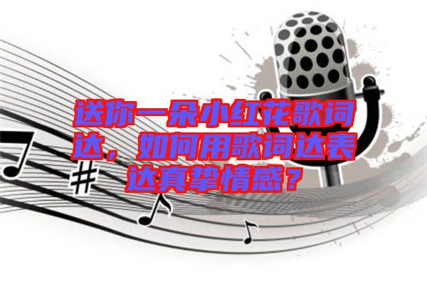 送你一朵小紅花歌詞達，如何用歌詞達表達真摯情感？