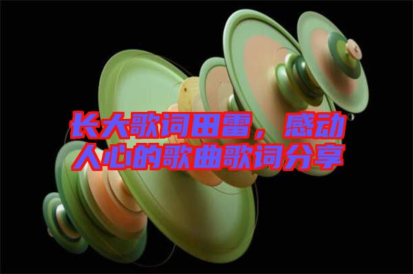 長大歌詞田雷，感動人心的歌曲歌詞分享