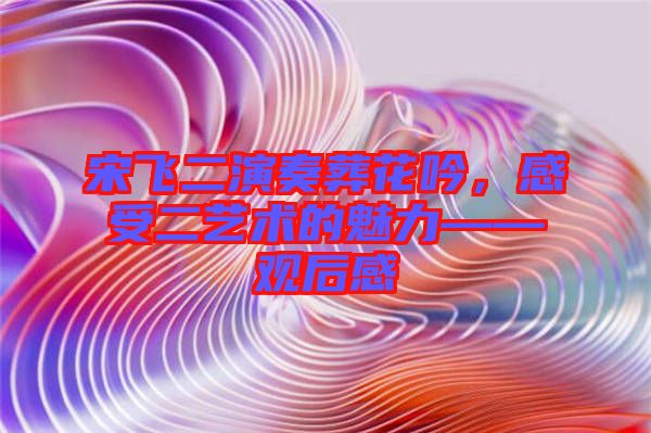 宋飛二演奏葬花吟，感受二藝術的魅力——觀后感