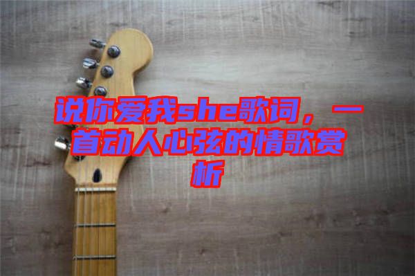 說你愛我she歌詞，一首動(dòng)人心弦的情歌賞析