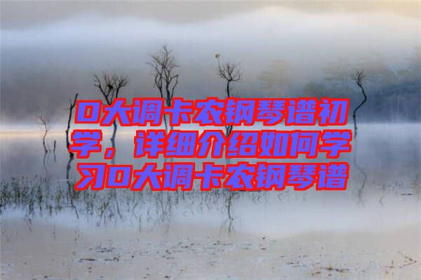 D大調(diào)卡農(nóng)鋼琴譜初學(xué)，詳細(xì)介紹如何學(xué)習(xí)D大調(diào)卡農(nóng)鋼琴譜