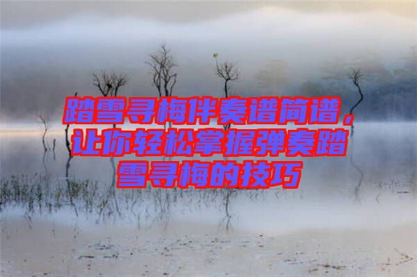 踏雪尋梅伴奏譜簡譜，讓你輕松掌握彈奏踏雪尋梅的技巧