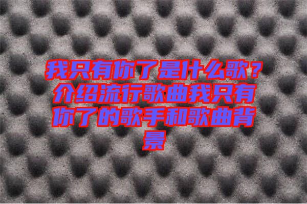 我只有你了是什么歌？介紹流行歌曲我只有你了的歌手和歌曲背景