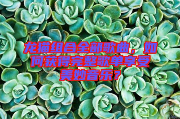 龍貓組合全部歌曲，如何獲得完整歌單享受美妙音樂？