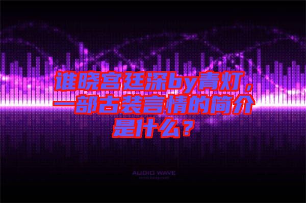 誰(shuí)曉宮廷深by青燈，一部古裝言情的簡(jiǎn)介是什么？