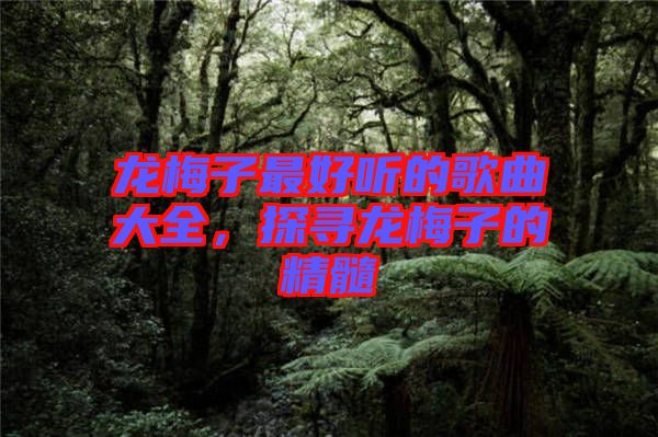 龍梅子最好聽的歌曲大全，探尋龍梅子的精髓
